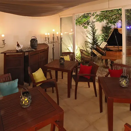 Palm 4* Cannes