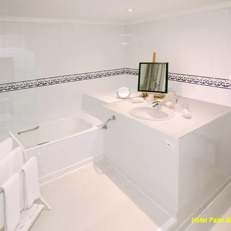 Hotel Palm Cannes