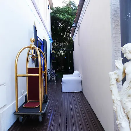 Palm Cannes