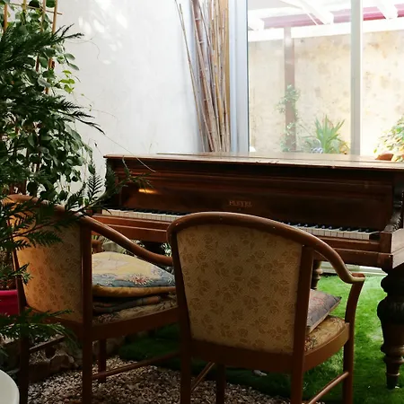 Palm 4*