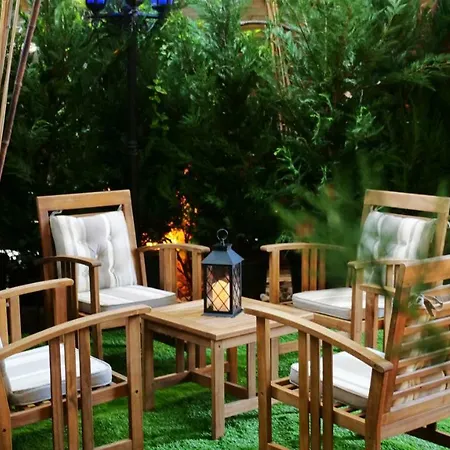 فندق Palm